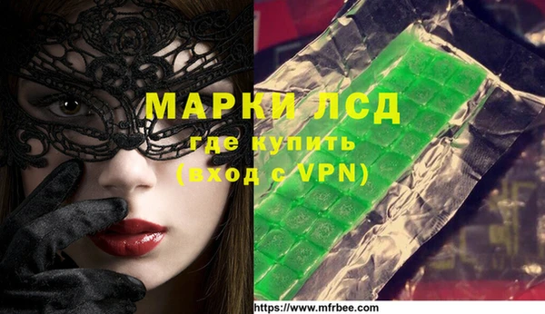гидра Чердынь