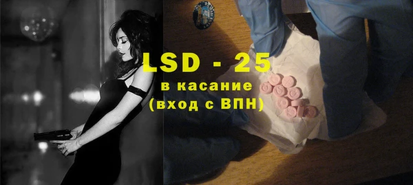 гидра Чердынь