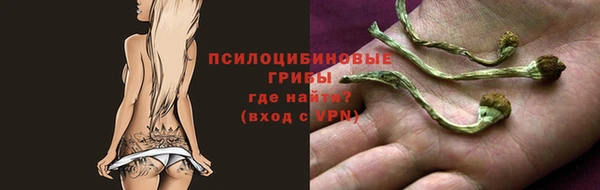 гидра Чердынь