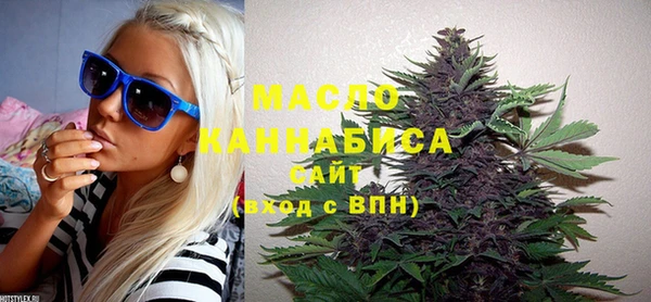 индика Протвино