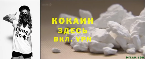 индика Протвино