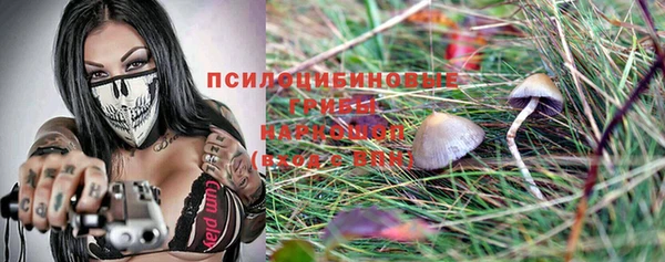 дмт Чегем