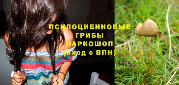 шишки Пролетарск