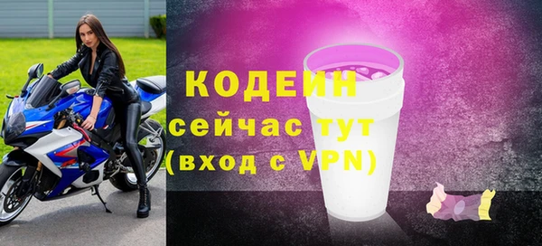индика Протвино