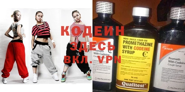 индика Протвино