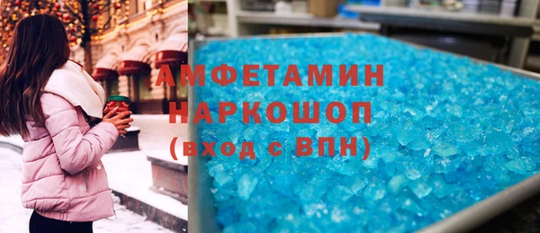 индика Протвино