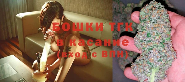 индика Протвино