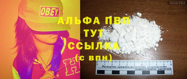 молекула духа Приозерск