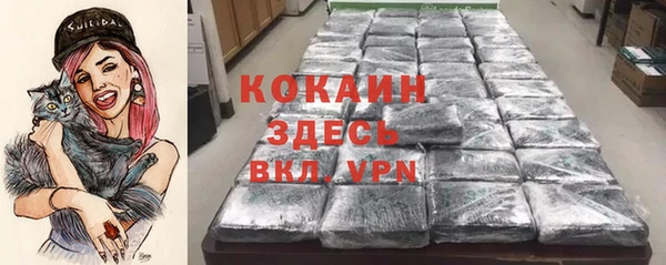 шишки Пролетарск