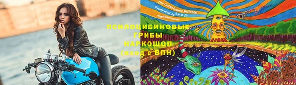 молекула духа Приозерск