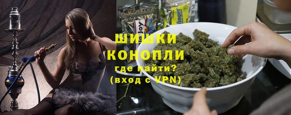 индика Протвино