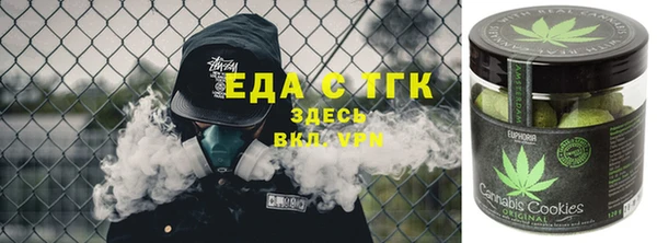 индика Протвино