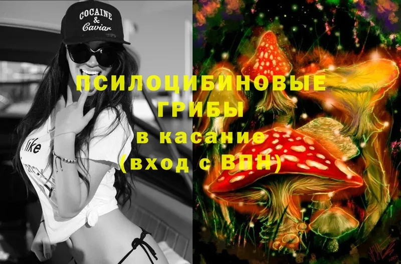 Псилоцибиновые грибы мухоморы Азнакаево