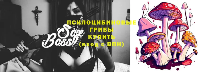Псилоцибиновые грибы MAGIC MUSHROOMS  Азнакаево 