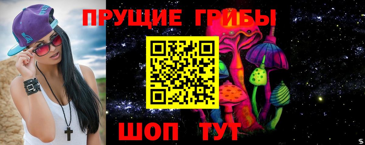 Псилоцибиновые грибы GOLDEN TEACHER Азнакаево