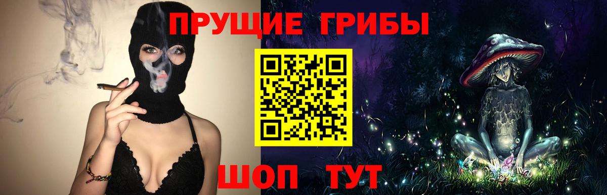 Азнакаево  Псилоцибиновые грибы Psilocybine cubensis  Галлюциногенные грибы MAGIC MUSHROOMS  Вход с VPN 